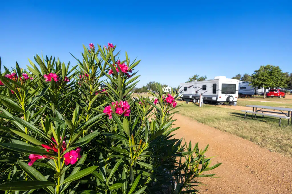 Lake Buchanan RV & Cabin Resort 7 Floral view at Lake Buchanan RV Resort